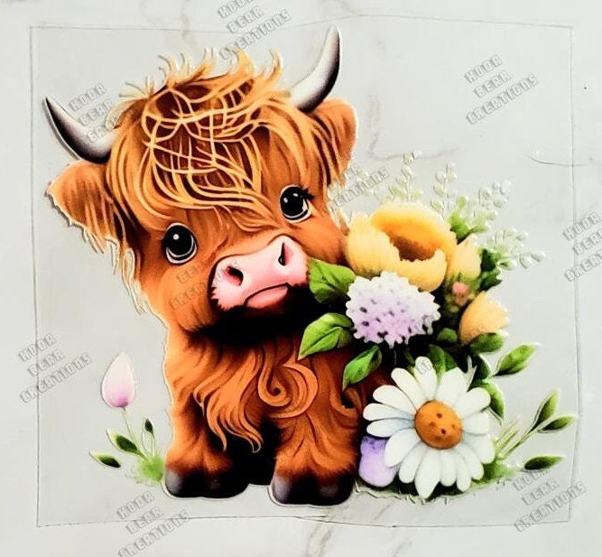 Daisy Highland Cow 1 UV DTF Decal